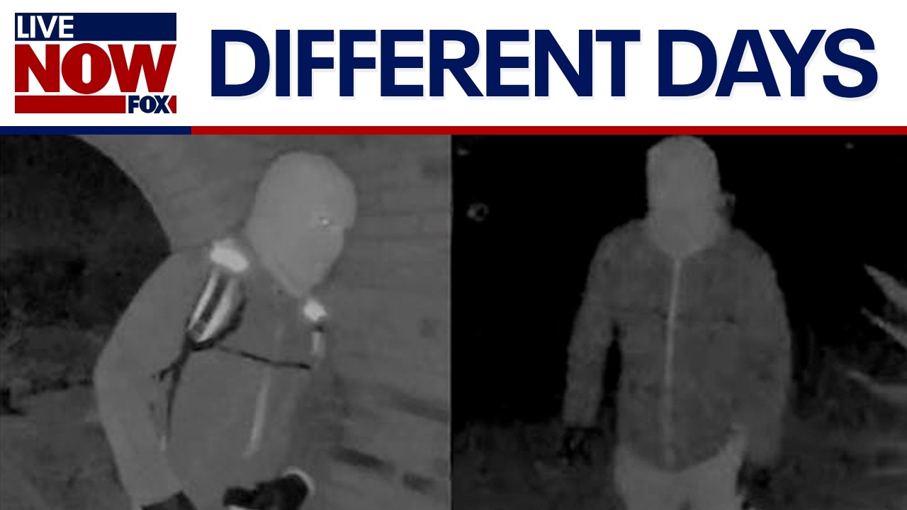 Nancy Guthrie search: Images from different dates, source says