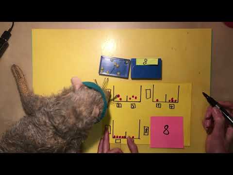 Zahlenzerlegung erste Klasse mit der Schüttelbox und Ratte Hein