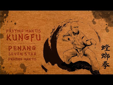 Penang Praying Mantis Kungfu