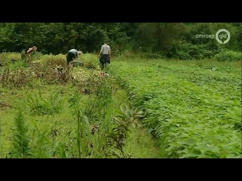 GLD Nieuws 21 juli 2014