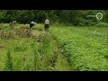 GLD Nieuws 21 juli 2014