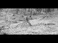 Youth Lagoon - Afternoon 