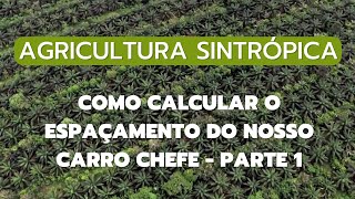 Agricultura sintrópica - Como calcular o espaçamento do nosso carro chefe - PARTE 1.