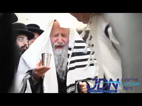 Bris in Amshenov - Iyar 5784