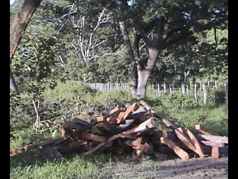 Lagunitas llaneras