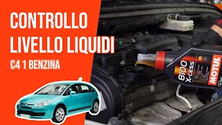 Youtube thumbnail of video "Controllo e rabbocco livello liquidi C4 1 1.4 16V 📏"