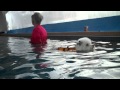 11 2 10 4 MP4