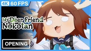 Cover art for Shikanokonokonokokoshitantan Opening