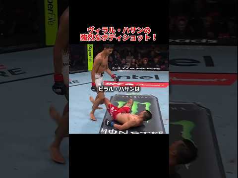ヴィラル・ハサンの強烈なボディショット！ #combatsports #mma #キックボクシング #格闘技 #1日1戦 #boxing