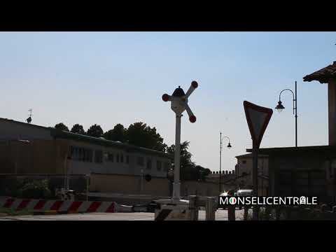 Passaggio a livello con girandola + D445 a gasolio