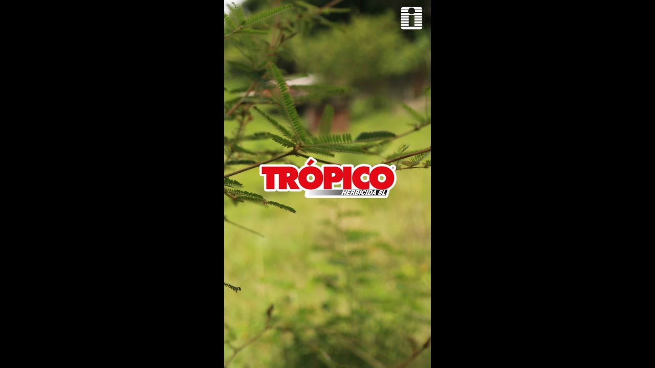 🌱AGROINVESA | TRÓPICO 🌿 HERBICIDA SISTÉMICO Y SELECTIVO PARA POTREROS