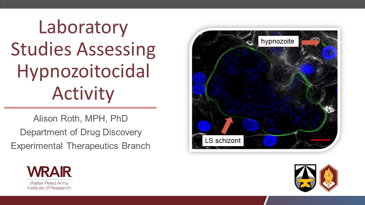 Alison Roth: Laboratory Studies Assessing Hypnozoitocidal Activity