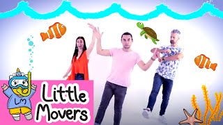 BEAN BAG DANCE FOLLOW ALONG | KIDS DANCE | Little Movers Prop Dance | Children's Follow Along