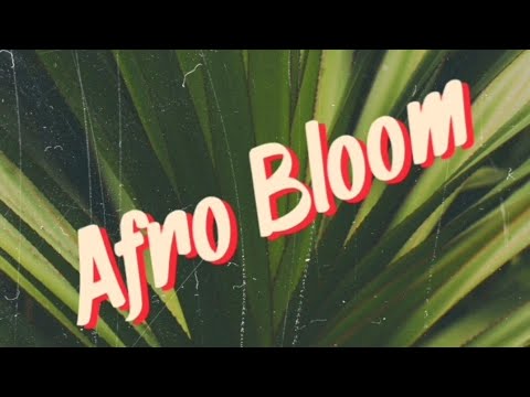Best Afrobeat x dancehall loops kit 2023 | AFRO BLOOM 1