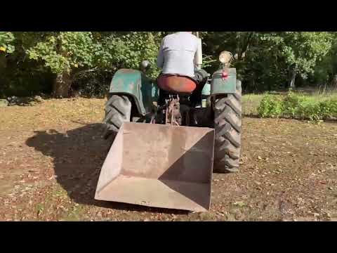 Videoklipp