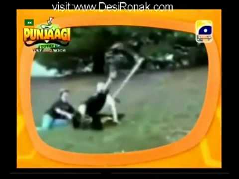 Punjabi Totay - 2012 (part 1)