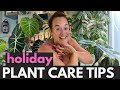 Vacation Plant Care Tips I M In Costa Rica Plant With Roos