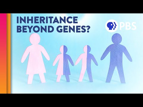遺産は本当にすべて私たちの遺伝子の中にあるのか? (Is Inheritance Really All In Our Genes?)