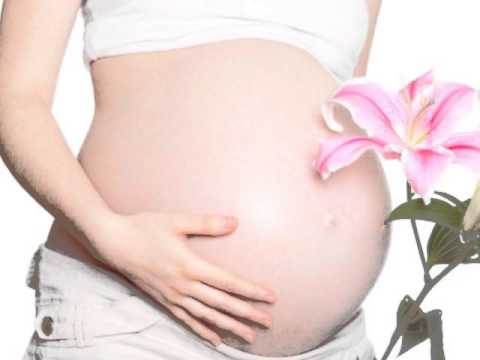 D'Sarme  - Deixe me viver