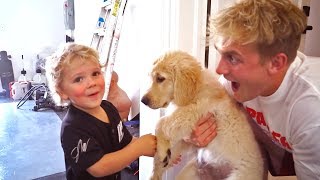 WE FOUND THIS PUPPY ON THE SIDE OF THE ROAD...