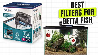 3 BEST Filters for Betta Fish