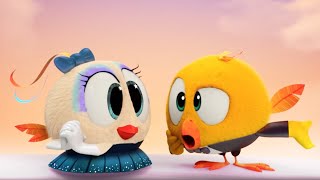 Costume party | Where's Chicky? | Cartoon Collection in English for Kids | New episodes
