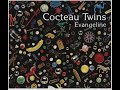 Cocteau Twins - Mud And Dark