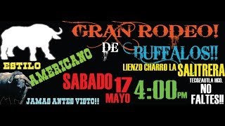 preview picture of video 'GRAN RODEO DE BUFALOS (SPOT)'