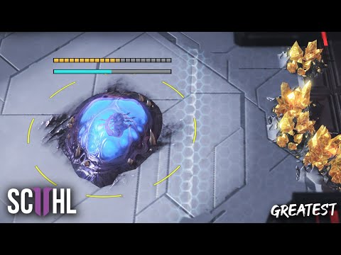 Greatest Proxy Hatcheries of All Time - Episode 1