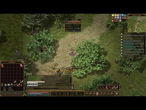 Kraken Mir3, Warrior Lv25, Legend of Mir3, July 20 2020  1of4