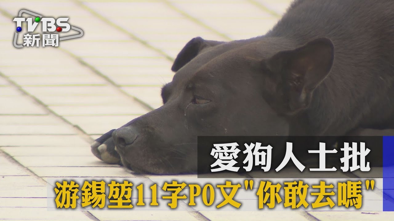 游錫堃11字PO文「你敢去嗎」　愛狗人士批