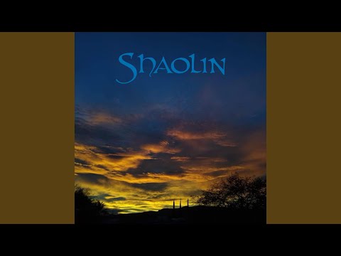 Shaolin (feat. Arokem)