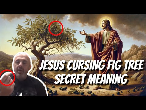 Why did Jesus curse a Fig Tree? (DEEP MEANING) Mark  11:14 Matthew 21:19 | Sam Shamoun