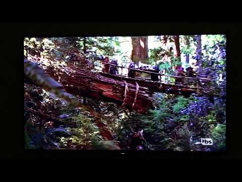 Star Wars: Episode VI - Return of the Jedi (1983) - Ewok’s Village scene