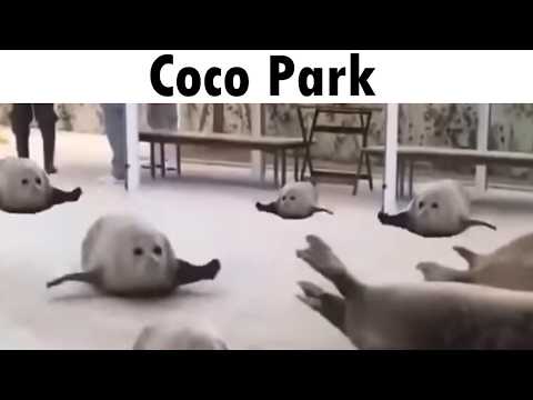 Listening to Crash Team Racing OST be like: