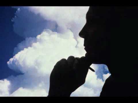 die parasiten - jetzt