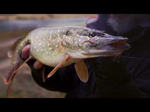 Backcountry Spring Fishing 2023