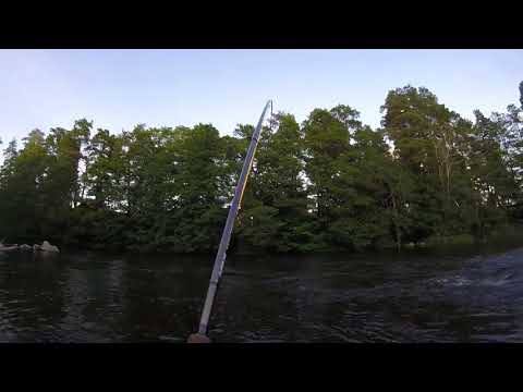 Kungsådran 2017, Laxdrill som tyvärr var felkrokad