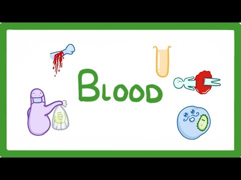 GCSE Biology - What Is Blood Made of? / What Does Blood Do?  #25