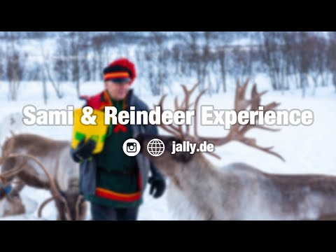 Sami & Reindeer experience in Sortland