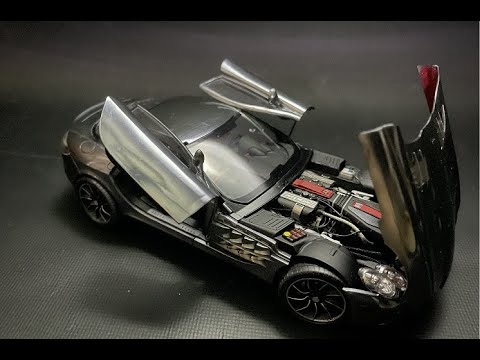 CBD for Cats Video Preview