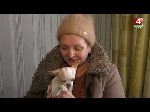 Трогательные истории вынужденных мигрантов из Украины видео