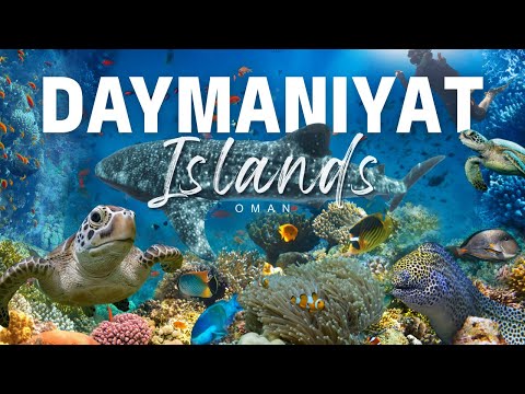 The JEWEL of the MIDDLE EAST the Daymaniyat Islands of OMAN 🇴🇲 (Travel Documentary)