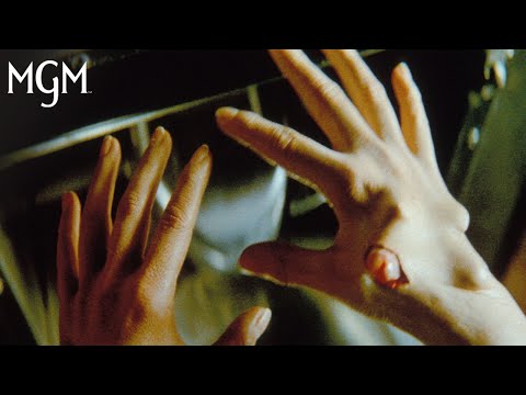 Reborn Scene