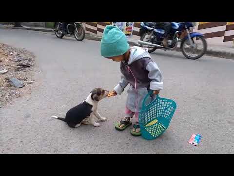 Puppy and little manasvini 