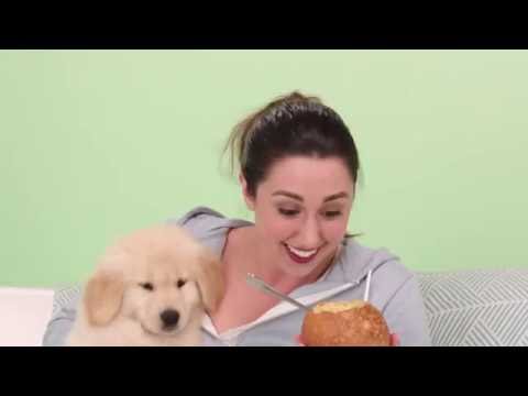 Lindsey Ferguson Commercial Reel