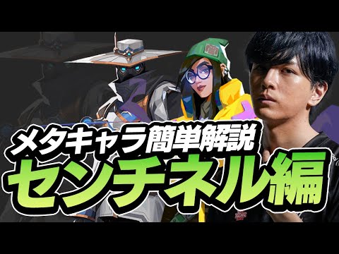 空気のセンチネル - 定義