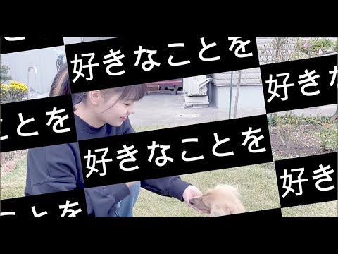 学生制作作品『個性がぶつかる、個性でつながる、江戸川大学』