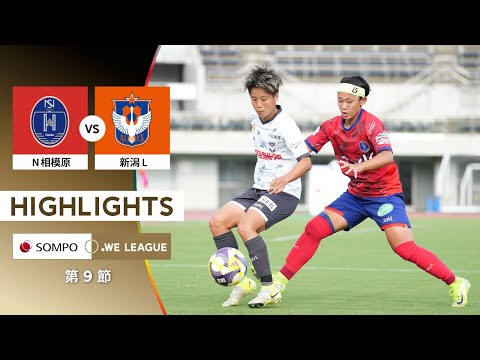 bg-highlight