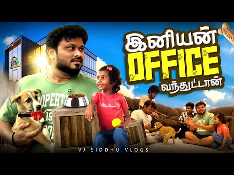 Street Dogs தான் கெத்து🐶🤩 | Vj Siddhu Vlogs